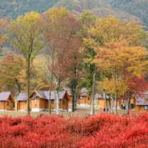 L'Hotel du Lac Shiga Fall Autumn Japan and Luxury Travel Specialist Luxury Travel to Japan Izumi Ogawa Travel Agent